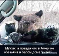 Не называй его обезьяной 