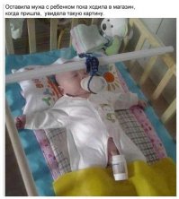 Прикольные картинки с надписями