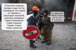 Просто смешные картинки с подписями 