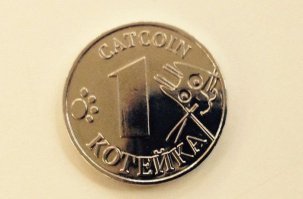  Давай пять, котейка!