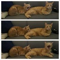 С добрым утром:)