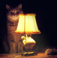 Случай из международной жизни