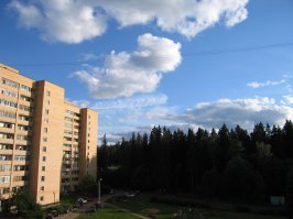 вот давненько сфоткал перо