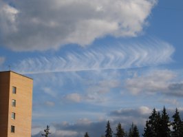 вот давненько сфоткал перо