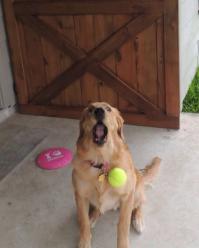 Все класс!!!
Только я бы поменял местами пару фоток, вот так: