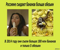 Всегда любил истории с нопределенной концовкой