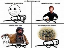 17 "бородатых" фактов о мужчинах