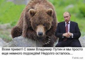 Почему-же. Есть масса нормальных. А дождь - навсюголовупопообиженный - особая песня 

PS Трупы - это тема кровавой фашистской Киевской хунты. У нас в аккурат максимально не вмешиваться.