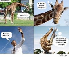 Новороссия отвечает #1