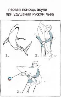 Ужасная безграмотность. Пусть они на всех пляжах плакаты повесят: