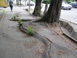 Не на одной фотке нет ни асфальта, ни бетона. Придется комментаторам добавлять