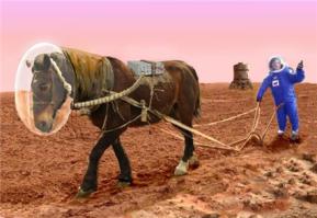 И на Марсе будут яблони цвести