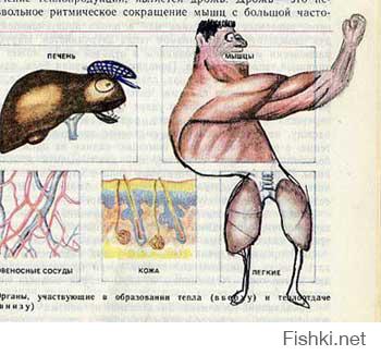 Фишкина солянка за 27.07.2014