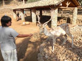 попробуй потискай его)