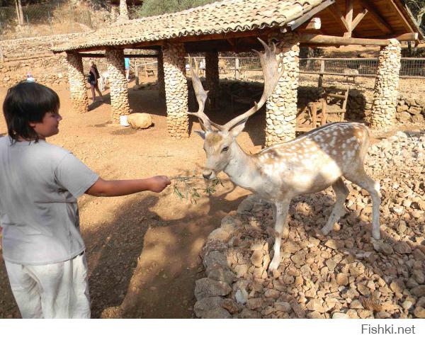 попробуй потискай его)