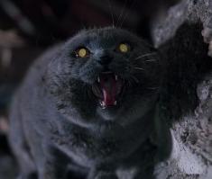 Детские площадки, на которые надо смотреть под саундтрек Silent Hill