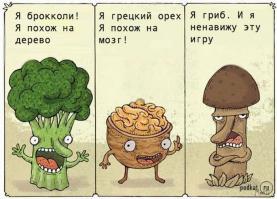 Самые интересные и необычные места для сбора грибов 