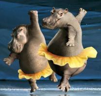 У меня почему-то получилось редкое животное бегемот