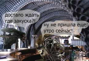 10 удивительных баров мира