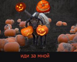 Зоопарк вызвал экзорциста для укрощения дьявольского барана