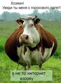 Девушка взорвала интернет своим пением