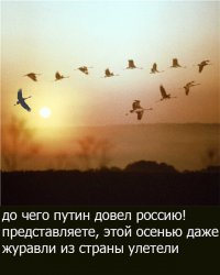 Статья из этой серии: