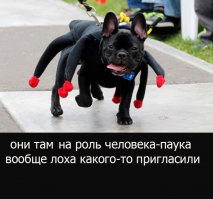 «Оскар» за вклад в кинематограф получила 20-летняя обезьяна