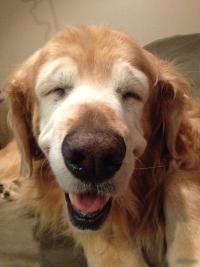 Жизнь удалась =)