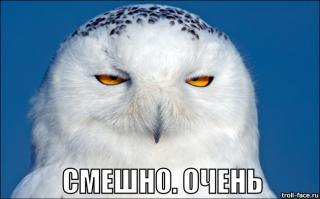 Подборка видео от 03.07.2014