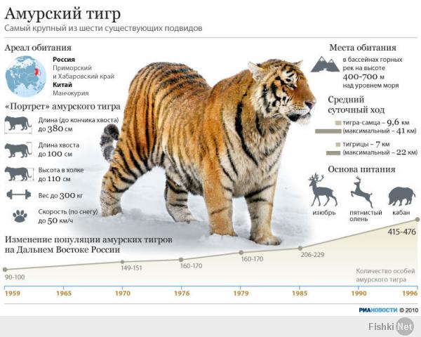 Подборка видео от 17.01.2014