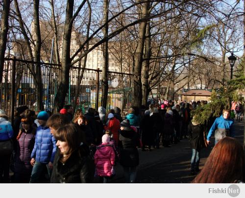 Харьковчане сами помогли своему зоопарку, есть еще видео километровых очередей.
