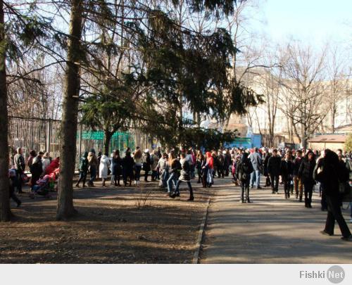 Харьковчане сами помогли своему зоопарку, есть еще видео километровых очередей.