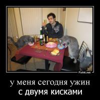  Фотоподборка за 19.09.2014