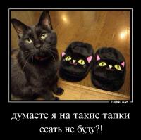  Фотоподборка за 22.09.2014