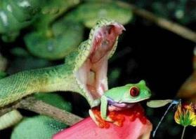 а дальше так?