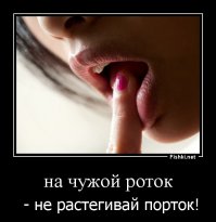 Полёт народного творчества в пословицах и поговорках