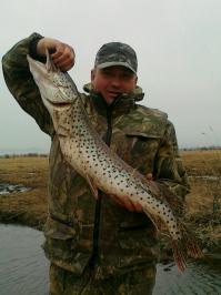 Давай, заценим! Надеюсь будет не менее!