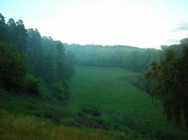 Подумав о прошлом, решили идти вперед