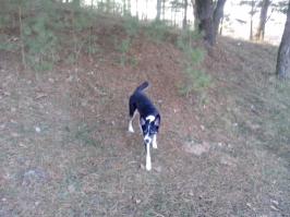 Вот она взрослая!