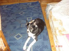 Фотоподборка за 07.07.2014