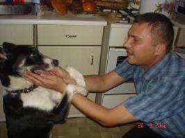 Почему большие собаки круче маленьких