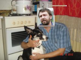 Почему собаки отвратительные водители