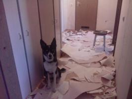 вот какая сейчас дружим и любим друг друга!