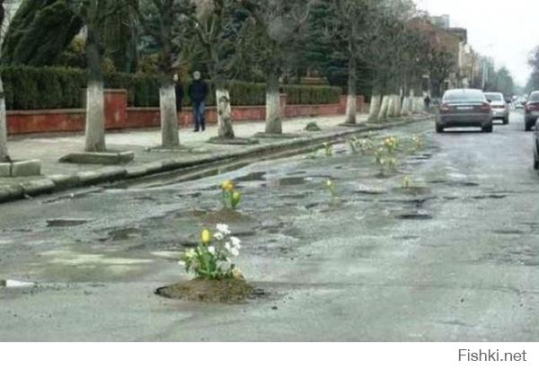 Креативные жители Коломыи Ивано-Франковской области "залатали" ямы на дорогах цветами.