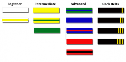 Шта?? У моей дочери 8 пум - жёлто-зеленый TKD (WTF), тренера в состав сборной Р.Ф. входят, тут может ошибка? Вот специально погуглил гамму поясов в этом виде боевых искусств.