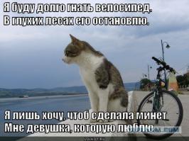 Смешные надписи и объявления 