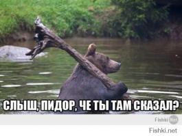 Это по нашему! Так миша так их