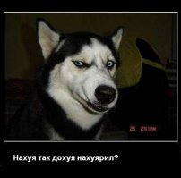 Соляные инсталляции Мотои Ямамото