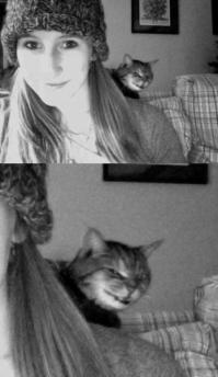 Прикольные кошаки.