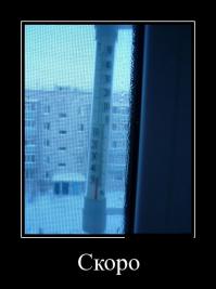 Челябинские комары настолько суровы, что даже при -44 градуса люди не снимают москитные сетки с окон.